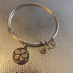 Alex and Ani Friend Bracelet